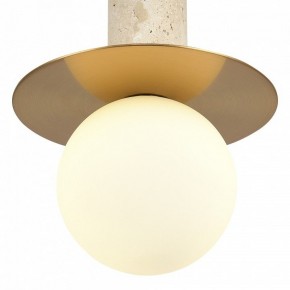 Подвесной светильник ST-Luce Earthy SL1194.303.01 в Озерске - ozersk.ok-mebel.com | фото 5