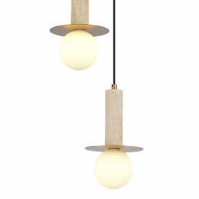 Подвесной светильник ST-Luce Earthy SL1194.303.03 в Озерске - ozersk.ok-mebel.com | фото 4