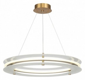 Подвесной светильник ST-Luce FAGY SL6245.203.01 в Озерске - ozersk.ok-mebel.com | фото 2