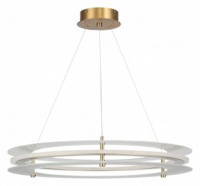Подвесной светильник ST-Luce FAGY SL6245.203.01 в Озерске - ozersk.ok-mebel.com | фото 3