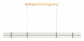 Подвесной светильник ST-Luce FAGY SL6245.223.01 в Озерске - ozersk.ok-mebel.com | фото 3