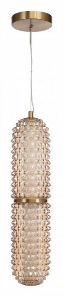 Подвесной светильник ST-Luce SAGUARO SL6144.303.01 в Озерске - ozersk.ok-mebel.com | фото 3