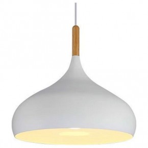 Подвесной светильник TopDecor Molto Molto S2 10 в Озерске - ozersk.ok-mebel.com | фото