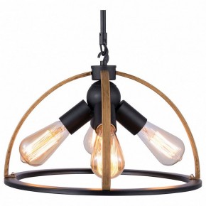 Подвесной светильник TopLight Jasmin TL1179H-04BK в Озерске - ozersk.ok-mebel.com | фото