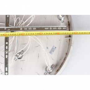 Потолочная люстра Aployt Teresa APL.855.06.10 в Озерске - ozersk.ok-mebel.com | фото 16