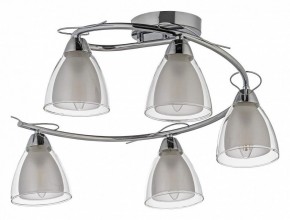 Потолочная люстра Arti Lampadari Paola, Tavenna Nickel Paola E 1.1.5 N в Озерске - ozersk.ok-mebel.com | фото