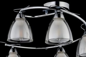 Потолочная люстра Arti Lampadari Paola, Tavenna Nickel Paola E 1.1.5 N в Озерске - ozersk.ok-mebel.com | фото 4