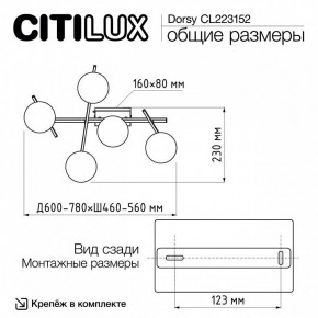Потолочная люстра Citilux Dorsy CL223152 в Озерске - ozersk.ok-mebel.com | фото 10