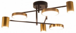 Потолочная люстра Kink Light Рапис 07645-6D,19(20) в Озерске - ozersk.ok-mebel.com | фото