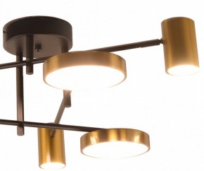 Потолочная люстра Kink Light Рапис 07645-6D,19(20) в Озерске - ozersk.ok-mebel.com | фото 2