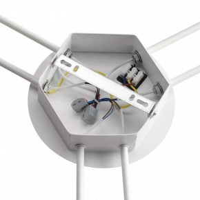 Потолочная люстра Lumion Gareta 8235/6C в Озерске - ozersk.ok-mebel.com | фото 6