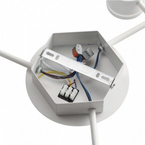 Потолочная люстра Lumion Gareta 8235/9C в Озерске - ozersk.ok-mebel.com | фото 6