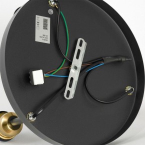 Потолочная люстра Lussole Mitchel LSP-8996 в Озерске - ozersk.ok-mebel.com | фото 5