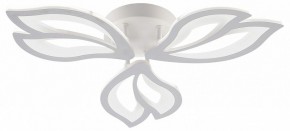 Потолочная люстра Natali Kovaltseva FORTUNA LED LAMPS 81107/2C в Озерске - ozersk.ok-mebel.com | фото