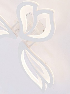 Потолочная люстра Natali Kovaltseva FORTUNA LED LAMPS 81107/2C в Озерске - ozersk.ok-mebel.com | фото 11