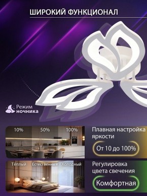 Потолочная люстра Natali Kovaltseva FORTUNA LED LAMPS 81107/2C в Озерске - ozersk.ok-mebel.com | фото 5