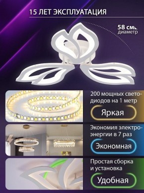 Потолочная люстра Natali Kovaltseva FORTUNA LED LAMPS 81107/2C в Озерске - ozersk.ok-mebel.com | фото 6