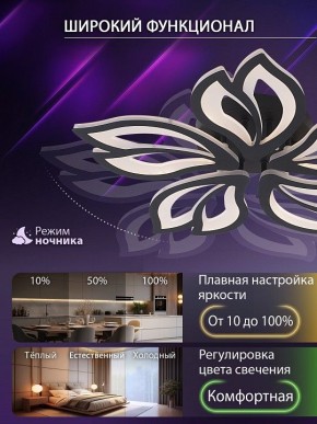 Потолочная люстра Natali Kovaltseva FORTUNA LED LAMPS 81107/5C в Озерске - ozersk.ok-mebel.com | фото 6