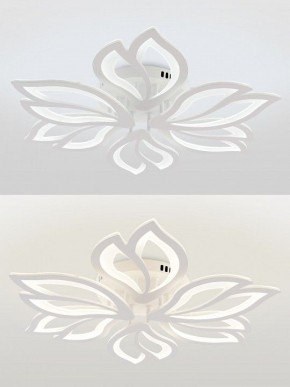Потолочная люстра Natali Kovaltseva FORTUNA LED LAMPS 81107/6C в Озерске - ozersk.ok-mebel.com | фото 4