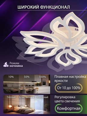 Потолочная люстра Natali Kovaltseva FORTUNA LED LAMPS 81107/6C в Озерске - ozersk.ok-mebel.com | фото 6