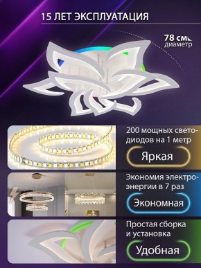 Потолочная люстра Natali Kovaltseva OLIMP LED LAMPS 81435 в Озерске - ozersk.ok-mebel.com | фото 5