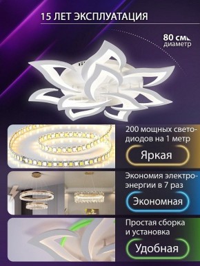 Потолочная люстра Natali Kovaltseva OLIMP LED SMART 84005 в Озерске - ozersk.ok-mebel.com | фото 5
