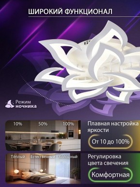 Потолочная люстра Natali Kovaltseva OLIMP LED SMART 84005 в Озерске - ozersk.ok-mebel.com | фото 6