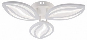 Потолочная люстра Natali Kovaltseva SM LED LAMPS 81456 в Озерске - ozersk.ok-mebel.com | фото