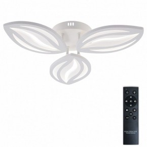 Потолочная люстра Natali Kovaltseva SM LED LAMPS 81456 в Озерске - ozersk.ok-mebel.com | фото 2
