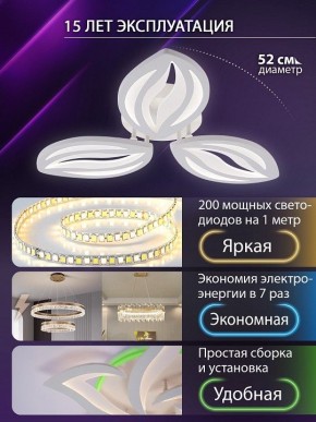 Потолочная люстра Natali Kovaltseva SM LED LAMPS 81456 в Озерске - ozersk.ok-mebel.com | фото 5