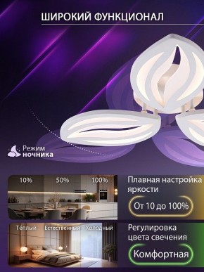 Потолочная люстра Natali Kovaltseva SM LED LAMPS 81456 в Озерске - ozersk.ok-mebel.com | фото 6
