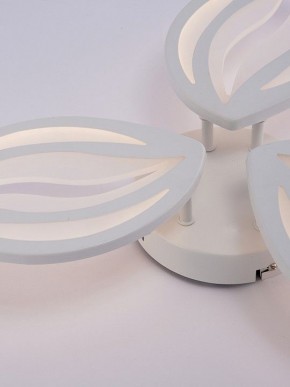 Потолочная люстра Natali Kovaltseva SM LED LAMPS 81456 в Озерске - ozersk.ok-mebel.com | фото 9