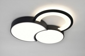 Потолочная люстра Rivoli Aliona Б0066452 в Озерске - ozersk.ok-mebel.com | фото 7