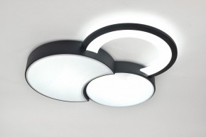 Потолочная люстра Rivoli Aliona Б0066452 в Озерске - ozersk.ok-mebel.com | фото 8