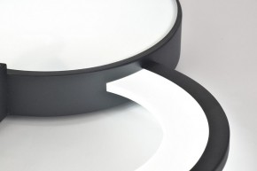Потолочная люстра Rivoli Aliona Б0066452 в Озерске - ozersk.ok-mebel.com | фото 9