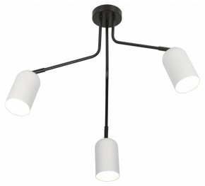 Потолочная люстра Rivoli Rosalinda Б0064987 в Озерске - ozersk.ok-mebel.com | фото 4