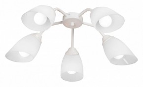 Потолочная люстра Vitaluce V31950 V31950/5PL в Озерске - ozersk.ok-mebel.com | фото