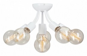 Потолочная люстра Vitaluce V3927 V3927-0/6PL в Озерске - ozersk.ok-mebel.com | фото