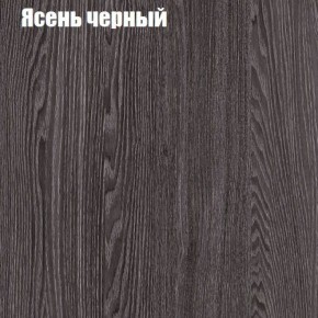 Прихожая ДИАНА-4 сек №10 (Ясень анкор/Дуб эльза) в Озерске - ozersk.ok-mebel.com | фото 3