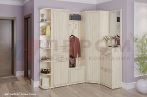 Прихожая Карина композиция 5 (Ясень Асахи) в Озерске - ozersk.ok-mebel.com | фото