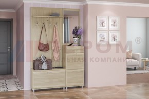 Прихожая Мелисса композиция 8 (Ясень Асахи) в Озерске - ozersk.ok-mebel.com | фото