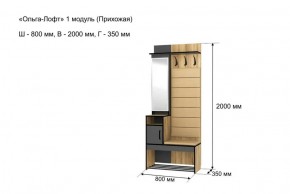 ОЛЬГА-ЛОФТ 1 Прихожая в Озерске - ozersk.ok-mebel.com | фото 4