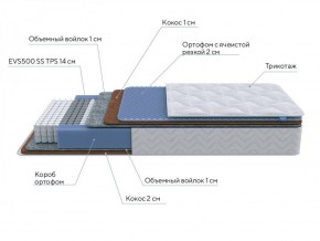 PROxSON Матрас Active Duo M/F (Ткань Трикотаж Эко) 160x195 в Озерске - ozersk.ok-mebel.com | фото 7