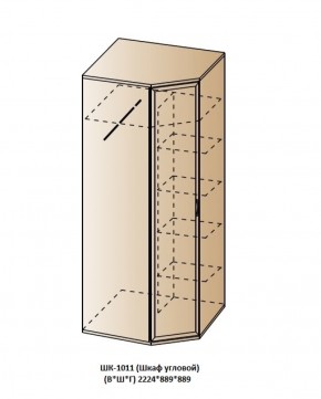 ШК-1011 (Шкаф угловой) в Озерске - ozersk.ok-mebel.com | фото