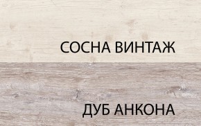 Шкаф 2D1S, MONAKO, цвет Сосна винтаж/дуб анкона в Озерске - ozersk.ok-mebel.com | фото 1