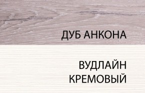 Шкаф 2DG, OLIVIA, цвет вудлайн крем/дуб анкона в Озерске - ozersk.ok-mebel.com | фото 3