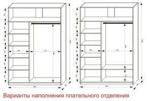 Шкаф-купе 1600 серии SOFT D6+D6+B2+PL3 (2 ящика+2штанги) профиль «Капучино» в Озерске - ozersk.ok-mebel.com | фото 8