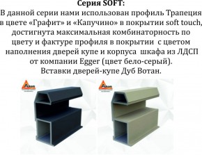 Шкаф-купе 1600 серии SOFT D8+D2+B2+PL4 (2 ящика+F обр.штанга) профиль «Графит» в Озерске - ozersk.ok-mebel.com | фото 12