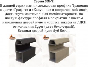 Шкаф-купе 1800 серии SOFT D1+D3+B2+PL1 (2 ящика+1штанга) профиль «Графит» в Озерске - ozersk.ok-mebel.com | фото 11