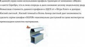 Шкаф-купе 2250 серии SILVER S3+S1+S3Z B22+PL2 (по 2 ящика лев/прав+1штанга+1 полка) профиль «Серебро» в Озерске - ozersk.ok-mebel.com | фото 4